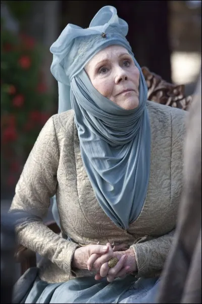 Une grande saga médiévale et fantastique !