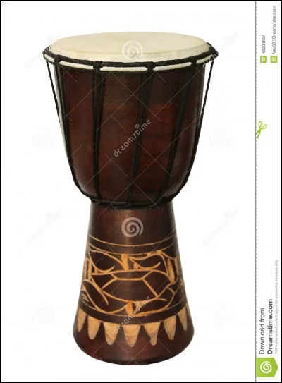 Quel est le nom de cet instrument ?