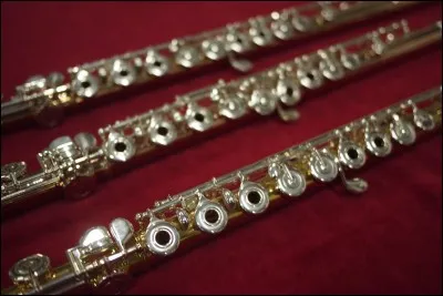 Quel est le nom de cet instrument ?