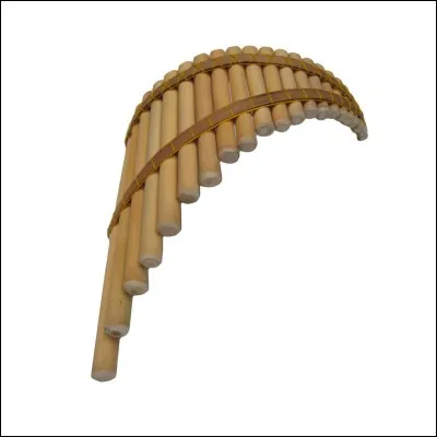 Quel est le nom de cet instrument ?