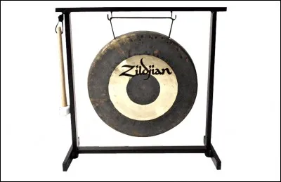 Quel est le nom de cet instrument ?