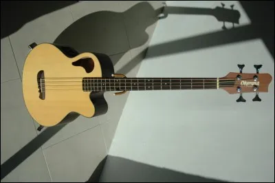 Quel est le nom de cet instrument ?