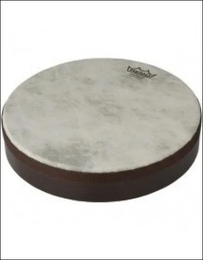 Quel est le nom de cet instrument ?