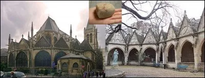 Allons au cimetière de « l'église Saint-Séverin » !
Au sein de ce cimetière, une grande première dans le monde médical. Cela se passait en 1474. On a pratiqué la « première opération de la taille ». Ce fut une réussite !
En quoi consistait cette opération et quelle est la caractéristique de la personne opérée ?