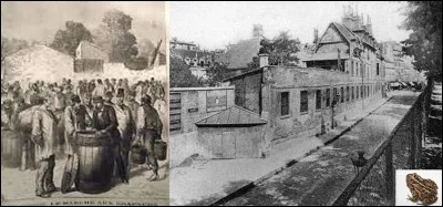 Allons « rue Geoffroy-Sant-Hilaire » !
Jusqu'à la fin du XIXe siècle, la rue Geoffroy-Saint-Hilaire accueillait un marché très particulier. Ils intéressaient beaucoup de professionnels de l'agriculture. En plus, on pouvait rencontrer beaucoup d'Anglais.
Que vendait ce marché ?