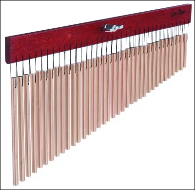 Quel est le nom de cet instrument ?