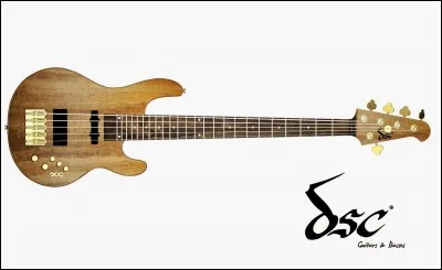 Quel nom donne-t-on &agrave; cette partie centrale de la guitare ?