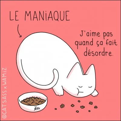Que mangent les chats ?