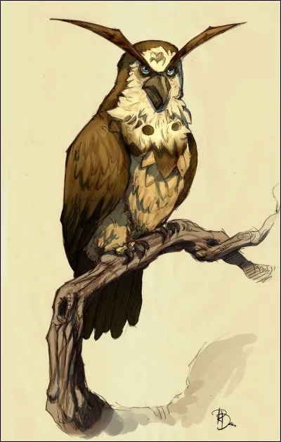 Quel est le 2e nom de Kaepora ?