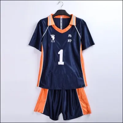 De quel animé s'agit-il ?