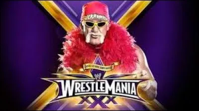 Dans quel film, Hulk Hogan ne fait-il pas d'apparition ?