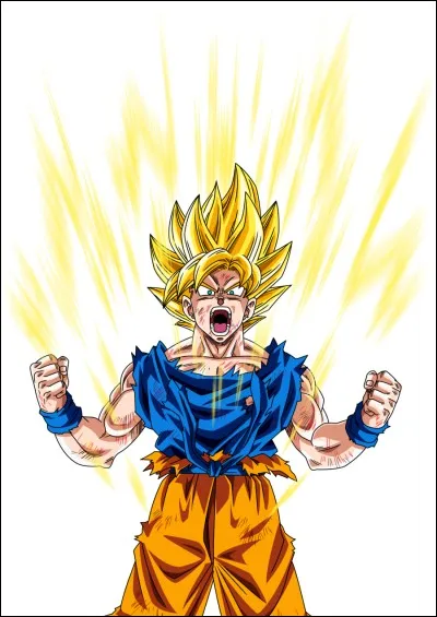 Quel est le but de Sangoku pendant l'entraînement de Tortue Géniale ?