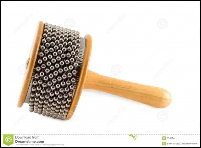 Quel est le nom de cet instrument ?