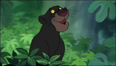 Qui est Bagheera ?