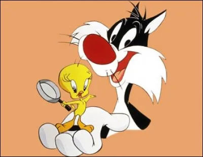 Quel animal est Titi ?