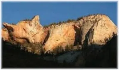 C'est un vrai cur d'artichaut.