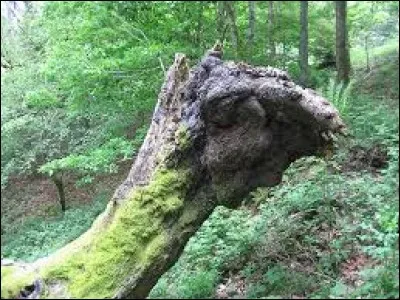 En faire des caisses.