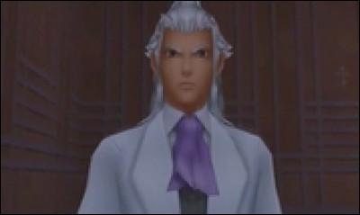 Qui est l'apprenti d'Ansem le Sage, le souverain du Jardin Radieux ?