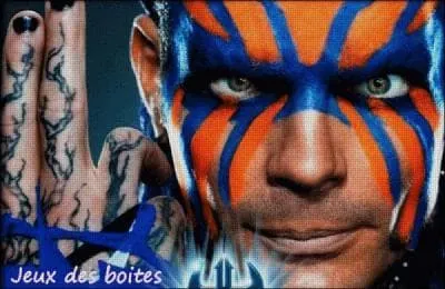 Dans quel type de match jeff a-t-il perdu le titre poid lourd a summerslam 2009 ?