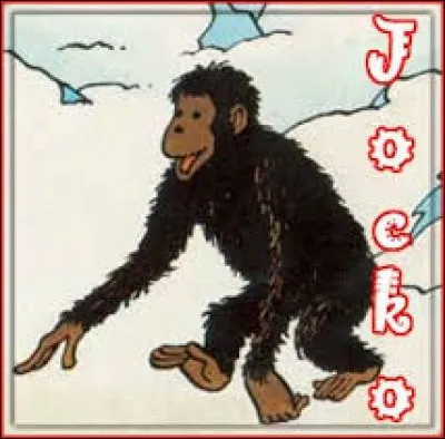 On trouve cet animal dans une vieille Bédé qui se nomme "Jo, Zette et Jocko", qu'est-ce que c'est ?