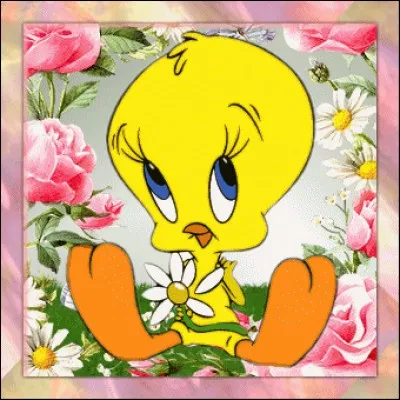 Et que dire de Titi ?