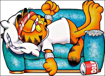 Tu connais aussi Garfield ! Qui est-il ?