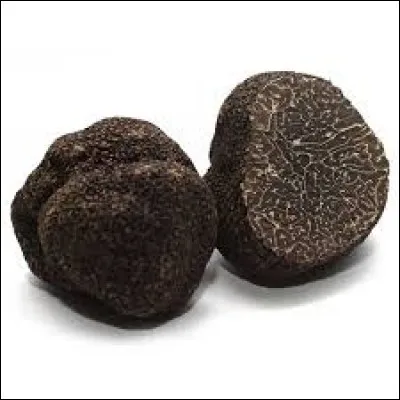 Qu'elle soit noire ou blanche, qu'est en réalité une truffe ?