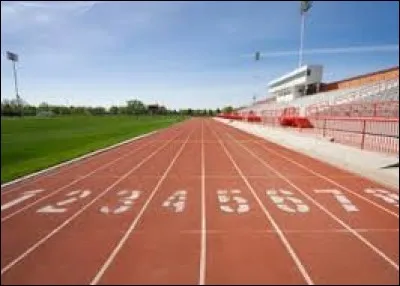 Quel coureur jamaïcain a battu le record du monde du 100 m avec un temps de "9,58 s" ?