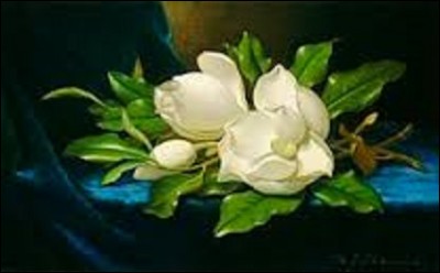 Peinte en 1890, cette nature morte intitulée ''Magnolias géants sur un tissu de velours bleu'' est l'œuvre d'un artiste américain (1819-1904) du mouvement Hudson River School et luminisme américain. Elle est considérée comme l'une des meilleures toiles de ce peintre spécialisé dans les natures mortes et les paysages. Pourriez-vous citer son nom ?