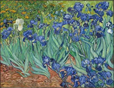 Peinte en mai 1889 un an avant sa mort à l'asile du monastère Saint-Paul-de-Mausole à Saint-Rémy-de-Provence, cette toile intitulée "Iris" est la première œuvre de ce peintre postimpressionniste et symboliste. Quel artiste influencé par les peintures japonaises ukiyo-e signifiant ''image du monde flottant'' a créé ce chef-d'œuvre ?