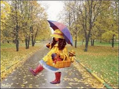 "Petite fille de Novembre" a été chantée par :