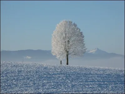 Qui ne fête-t-on pas en décembre ?