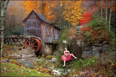 "Octobre" est une chanson de :