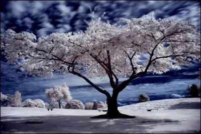 En quelle année le mois de février comptera-t-il 29 jours ?