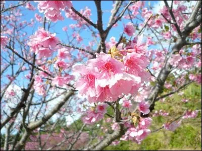 Avril est une commune du département dont la préfecture est Nancy :