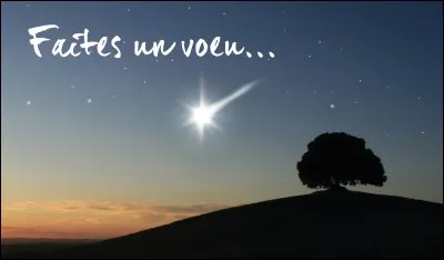 Si tu pouvais réaliser quelque chose, ce serait quoi ?