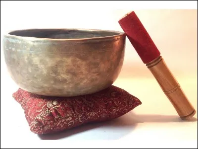 Quel est le nom de cet instrument ?