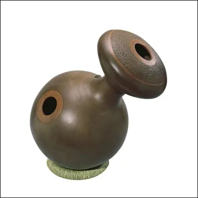 Quel est le nom de cet instrument ?