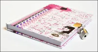 Quel adjectif correspond le mieux à ce journal ?