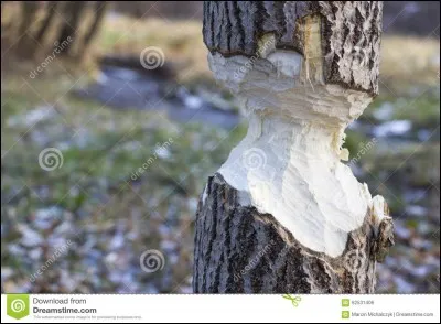 De stratagème, ou de patience !