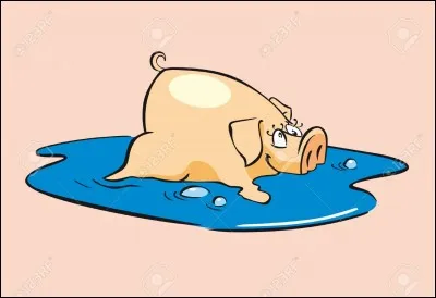 Et une flaque d'eau ?