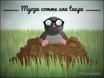 Que signifie l'expression : "Etre myope comme une taupe" ?