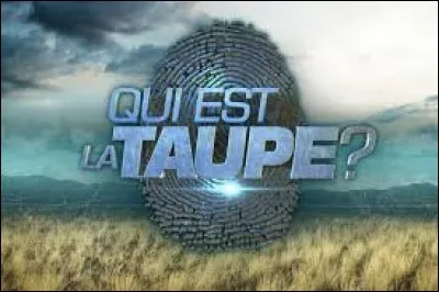 Qui présente l'émission "Qui est la taupe ?" diffusée sur M6 ?