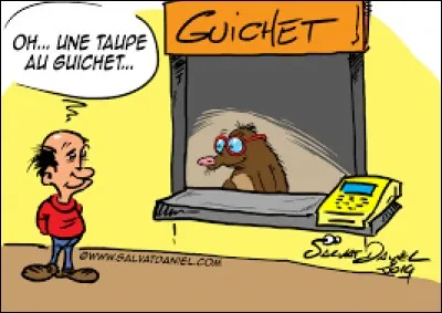 Que signifie l'expression : "Avoir la taupe au guichet" ?