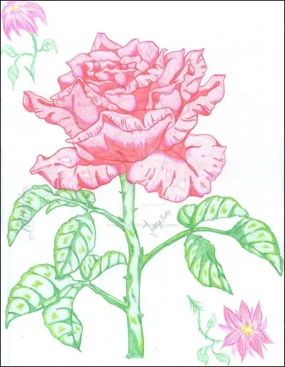 Quelle a été sa première série ?