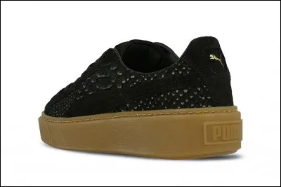 Quel est le nom de ces chaussures ?