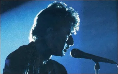 Compl&eacute;tez ces paroles de "Gaby oh Gaby" d'Alain Bashung : "&ccedil;a sert &agrave; quoi les frites, si t'as pas ---------------" .