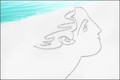 Quelle est cette uvre ?