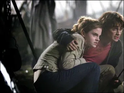 De quel film est tirée cette image ?