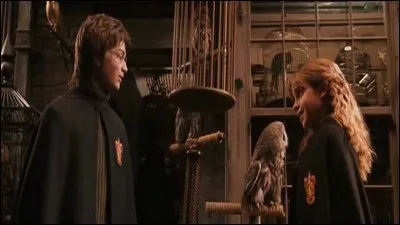 De quel film est tirée cette image ?